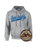 SAINT JOSEPH JC VOLLEYBALL